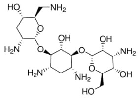 Tobramycin, Aminoglycoside antibiotic