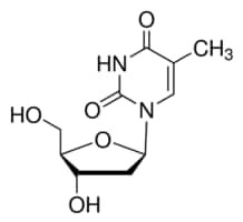 Thymidine, powder, BioReagent, suitable for cell culture