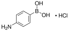 4-Aminophenylboronic acid hydrochloride, 95%