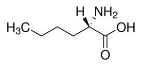 L-Norleucine, suitable for amino acid analysis, BioReagent