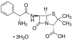 Ampicillin trihydrate, 900-1050 mug/mg anhydrous basis (HPLC)