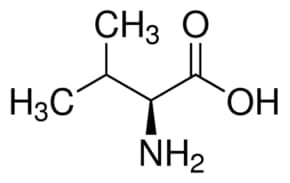 L-Valine, Pharmaceutical Secondary Standard. Certified Reference Material