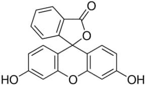 Fluorescein, for fluorescence, free acid