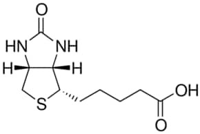 Biotin, European Pharmacopoeia (EP) Reference Standard