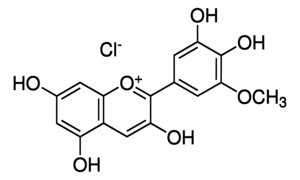 Petunidin chloride, phyproof(R) Reference Substance