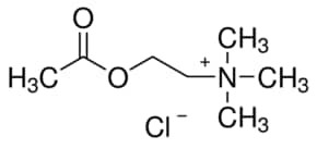 Acetylcholine chloride, suitable for cell culture