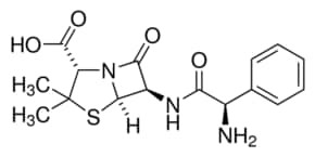 Ampicillin, analytical standard