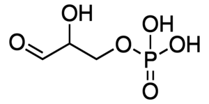 DL-Glyceraldehyde 3-phosphate solution, 45-55 mg/mL in H2O