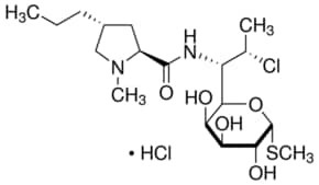 Clindamycin hydrochloride, lincosamide antibiotic