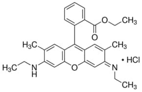 Rhodamine 6G, suitable for fluorescence, BioReagent