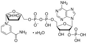 beta-Nicotinamide adenine dinucleotide phosphate hydrate