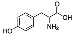 DL-Tyrosine, 99%