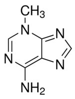 3-Methyladenine, autophagy inhibitor