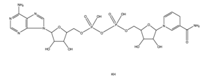 beta-Nicotinamide adenine dinucleotide, reduced dipotassium salt