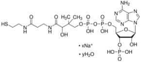 Coenzyme A sodium salt hydrate, cofactor for acyl transfer