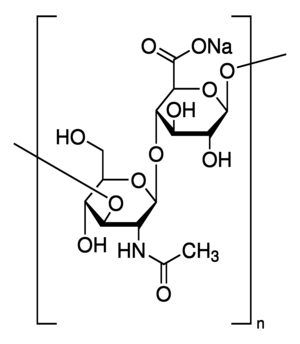 Hyaluronic acid sodium salt from Streptococcus equi, bacterial glycosaminoglycan polysaccharide