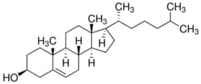 Cholesterol, tested according to Ph. Eur.