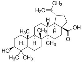 Betulinic acid, analytical standard