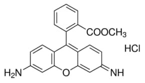 Rhodamine 123, mitochondrial specific fluorescent dye