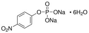 Phosphatase substrate, powder