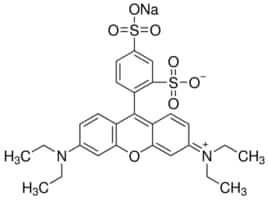 Sulforhodamine B sodium salt, powder, BioReagent, suitable for cell culture