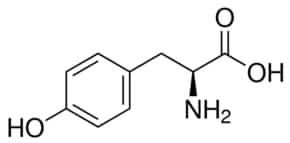 L-Tyrosine, from non-animal source, meets EP, USP testing specifications, suitable for cell culture, 99.0-101.0%