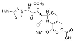 Cefotaxime sodium salt, suitable for plant cell culture, BioReagent, powder