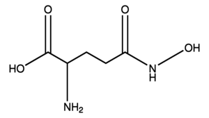 L-Glutamic acid gamma-monohydroxamate