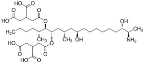 Fumonisin B3 solution, ~50 mug/mL in acetonitrile: water, analytical standard