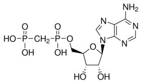 Adenosine 5'-(alpha,beta-methylene)diphosphate, ADP analog