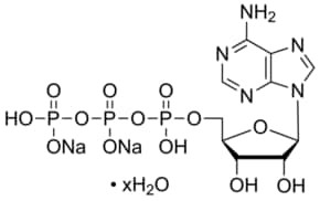 Adenosine 5'-triphosphate disodium salt hydrate, 99%