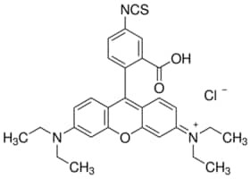 Rhodamine B isothiocyanate, mixed isomers