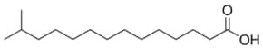 Iso 15:0 Fatty Acid 10 mg