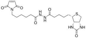 Biotin-maleimide