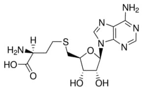 S-(5'-Adenosyl)-L-homocysteine, crystalline