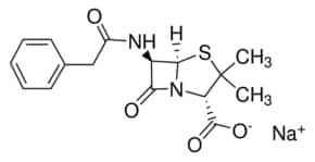 Penicillin G sodium salt, 96.0-102.0%