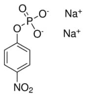 p-Nitrophenyl Phosphate Liquid Substrate System, liquid