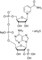 beta-Nicotinamide adenine dinucleotide phosphate sodium salt hydrate, powder