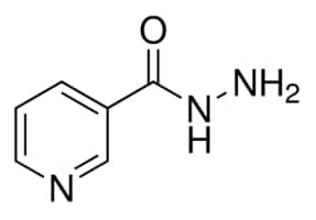 Nicotinic hydrazide, 97%