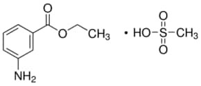 Ethyl 3-aminobenzoate methanesulfonate, 98%