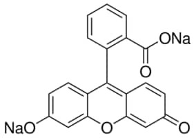 Fluorescein sodium salt, BioReagent, suitable for fluorescence