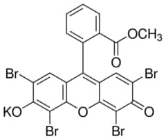 Eosin Methylene blue, according to May-GrÃ¼nwald