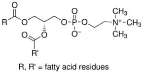 L-alpha-Phosphatidylcholine, egg yolk, ~60% (TLC)