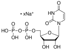 Uridine 5'-(trihydrogen diphosphate) sodium salt from Saccharomyces cerevisiae, 95-100%