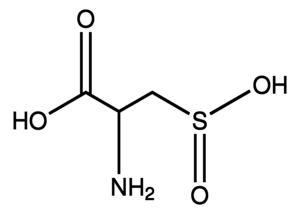 L-Cysteinesulfinic acid monohydrate