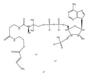 Crotonoyl coenzyme A trilithium salt, ~90% (HPLC)