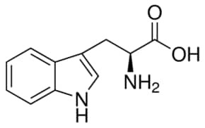 Tryptophan, European Pharmacopoeia (EP) Reference Standard