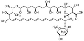 Amphotericin B from Streptomyces sp., BioReagent, suitable for cell culture, ~80% (HPLC)