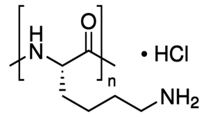 Poly-L-lysine hydrochloride, mol wt 15,000-30,000