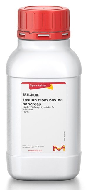 Insulin from bovine pancreas, powder, BioReagent, suitable for cell culture